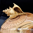 Reprise après accident, une boite coquillage en robinier