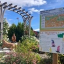 Le chemin des animaux