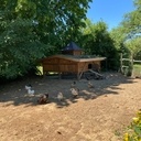 Poulailler « deluxe »