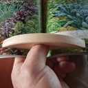 bague de lecture en bois