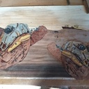 Marqueterie les deux tortues du marais