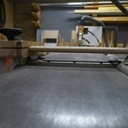 Protection arbre de dégau