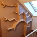 Bibliothèque arbre