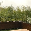 Bac à plantes sur roulettes en bois de terrasse