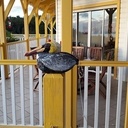 Mes autres sculptures.