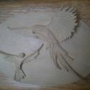 Médaillon aux perroquets