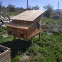 Poulailler en palettes