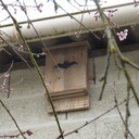 L'Air du Bois
