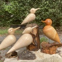 Mes premiers oiseaux au tour à bois