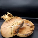 Reprise après accident, une boite coquillage en robinier