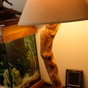 Quelques pieds de lampe