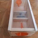 Piege sélectif à frelons asiatiques (Type "Boîte à cones")