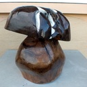 Bolétus non comestible