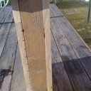 Nichoir à chauve-souris