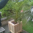 Salon de jardin-2eme partie: les cache pots