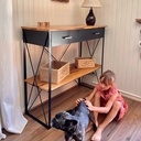 Console d'entrée industriel