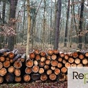 Exploitation des Forêts en France