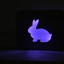 Veilleuse led lapin