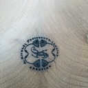 Poirier en Symétrie