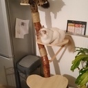 Essais de résistance mécanique