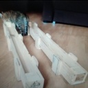 Jardinière pour semis