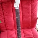 Première guitare électrique - Sept-Nov 2020