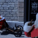 Ou sont encore mes Rennes !!???....