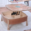 Table basse éléphant et galuchat