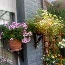 Supports de pots de fleurs