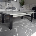 Table basse en palette