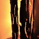 Lampe en écorce fine