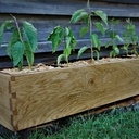 Jardinière de rempotage ni clou ni vis ni colle.