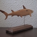 Requin en pin