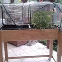 Jardiniere rehaussé d'une mini serre