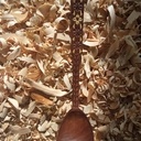 15éme cuillère de 2023 : Cuillère en bouleau cuite au four