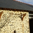 Raisin Blanc charpenté