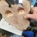 Planage d'une tranche de cade à la défonceuse