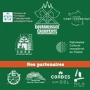 Formation charpente traditionnelle, ceinturage, equarrissage