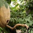 Cabane à oiseaux en palette