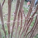 Un nouvel enclos pour les poules