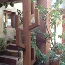 Un porte manteaux cactus