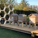 Rucher en alvéoles sur structure démontable à queue d'aronde