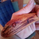 Demi-louche...demi-sculpté