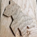 Chat... Presque loup