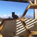 Etagère nid d'abeille