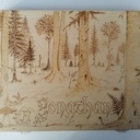 Coffret ciseaux à bois plus support pierre affutage avec couvercle.