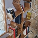 Bibliothèque en orme