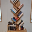 Bibliothèque en orme