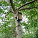 Nichoir à mésanges Ciment et bois