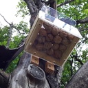 Distrinoix pour écureuils